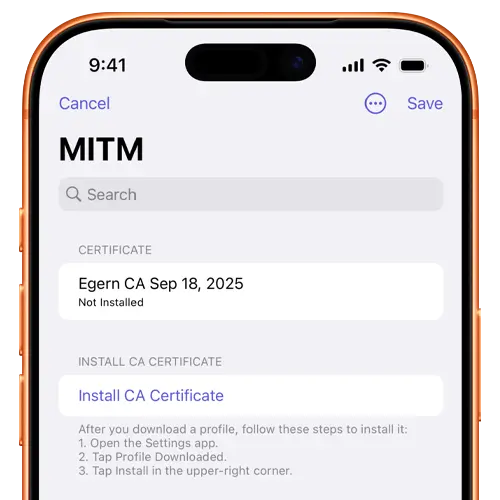Egern certificate trust settings